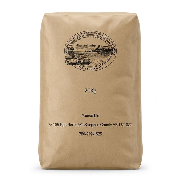 Barley Flour