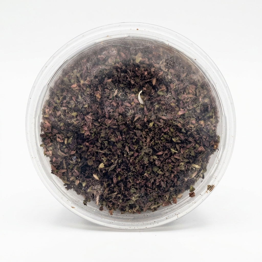 Besobela Ethiopian Sacred Basil