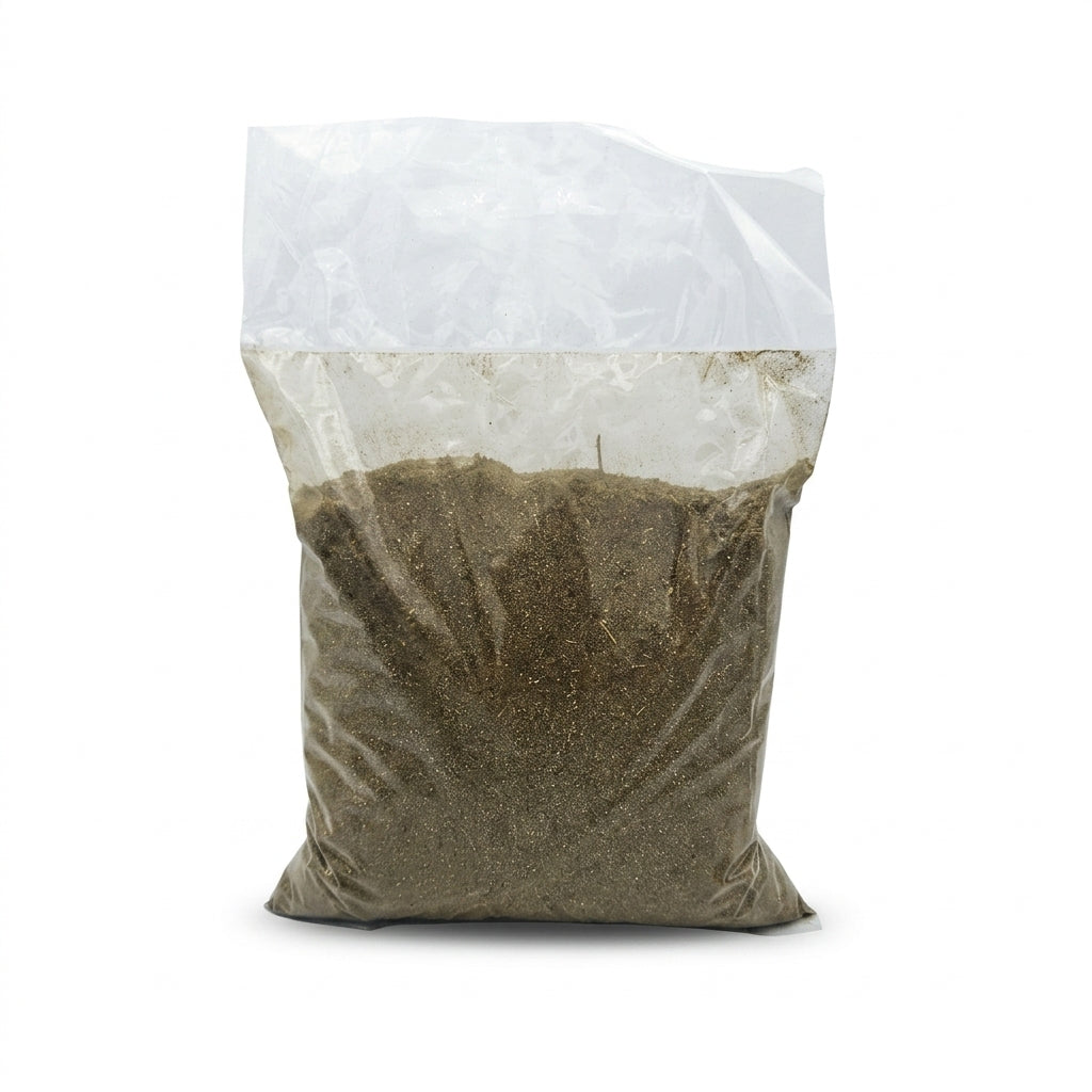 Gesho Powder (for Tela Brewing)