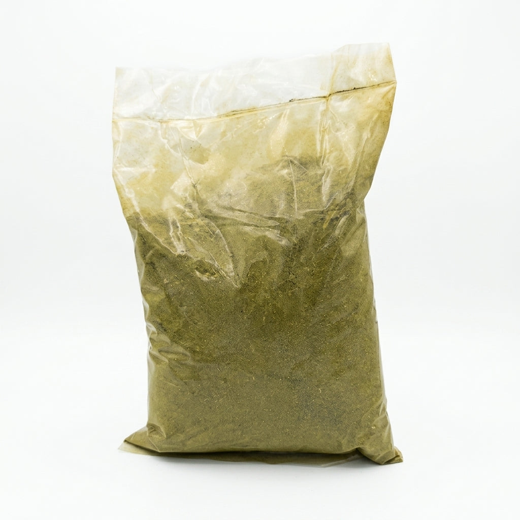 Gesho (Rhamnus prinoides)