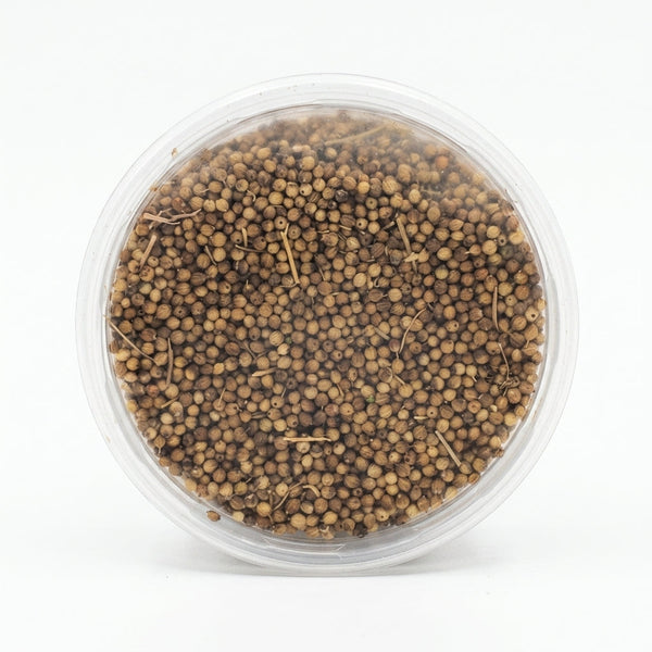 Whole Coriander Seeds (Denbela)